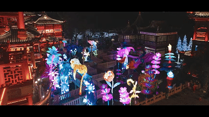
浙江省同德医院黄牛代挂号电话票贩子号贩子网上预约挂号,住院检查加快,文化中国行 | 各地上新春节文旅“流量密码”
