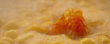 西安西京医院黄牛代挂号电话票贩子号贩子网上预约挂号,住院检查加快,时政微纪录|温暖烟火气 年味正浓时