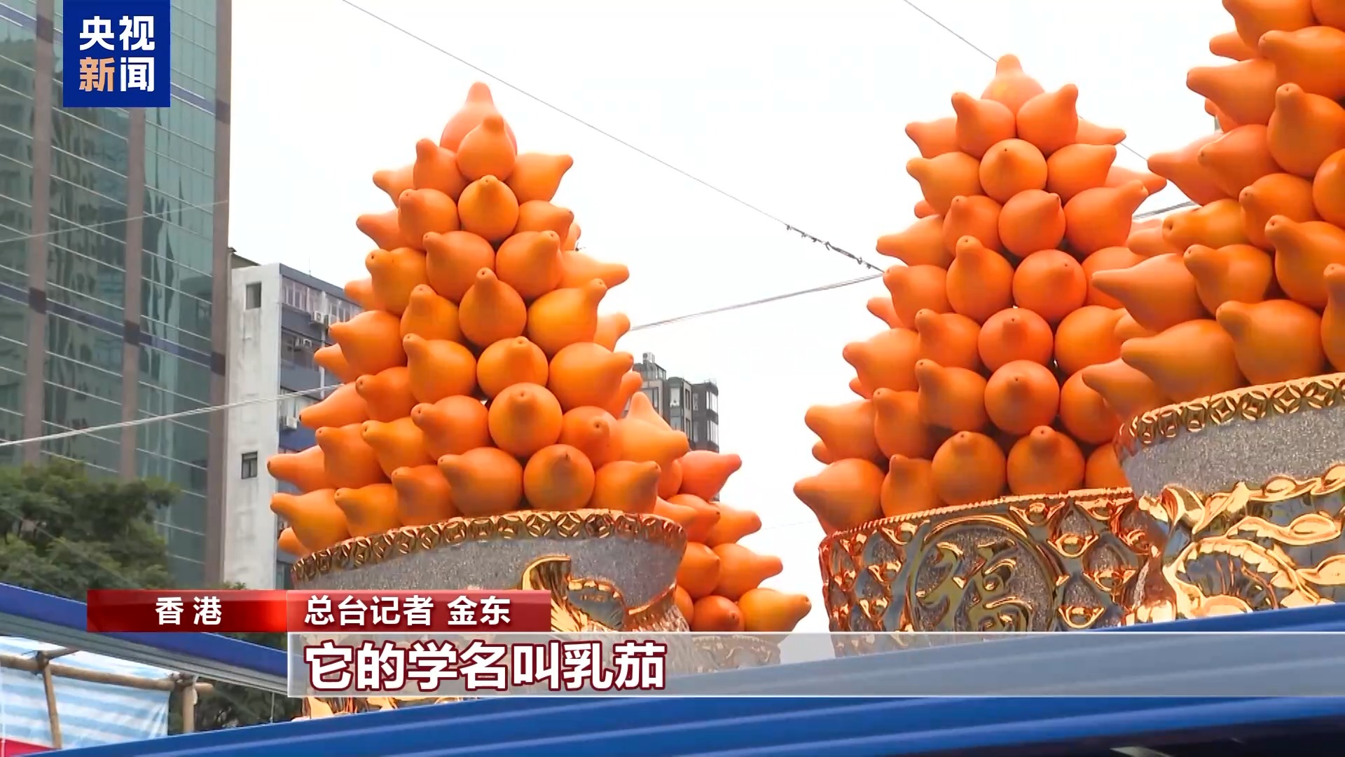 
长沙各大医院黄牛代挂号电话票贩子号贩子网上预约挂号,住院检查加快,喜乐安宁中国年 香港年宵花市香四溢