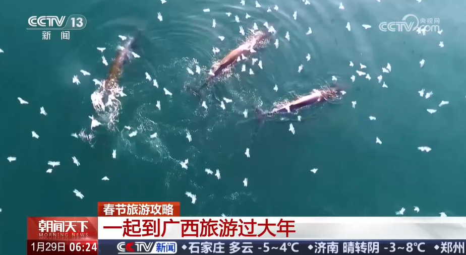 
北京儿童医院黄牛代挂号电话票贩子号贩子网上预约挂号,住院检查加快,春节旅游攻略 一起到广西旅游过大年