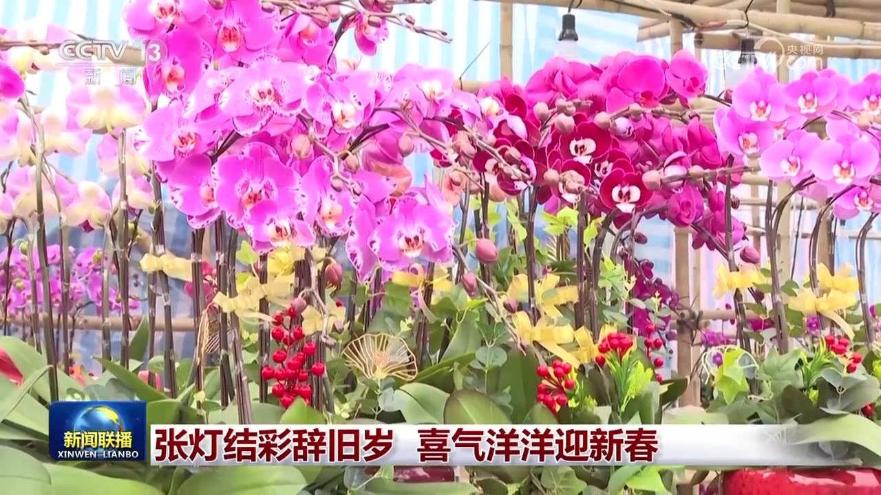 
北京各大医院黄牛代挂号电话票贩子号贩子网上预约挂号,住院检查加快,张灯结彩辞旧岁 喜气洋洋迎新春