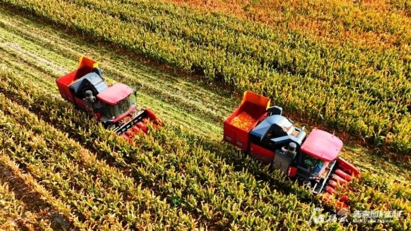 
广州中医药大学一附医院黄牛代挂号电话票贩子号贩子网上预约挂号,住院检查加快,再这样下去，新疆就成“鱼米之乡”了！