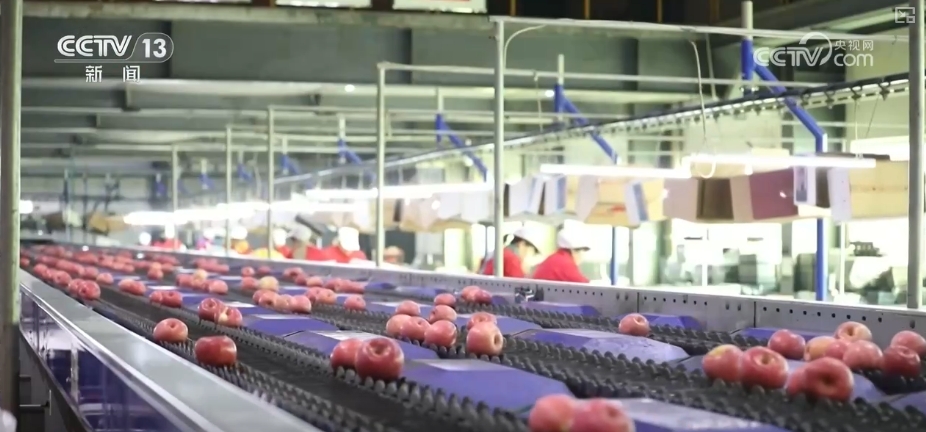 
首都医科大学附属北京口腔医院黄牛代挂号电话票贩子号贩子网上预约挂号,住院检查加快,中国经济高质量发展成效，信息量大！这些事项事关你我