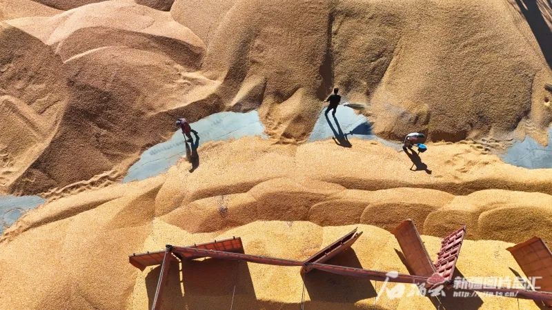 
广州中医药大学一附医院黄牛代挂号电话票贩子号贩子网上预约挂号,住院检查加快,再这样下去，新疆就成“鱼米之乡”了！