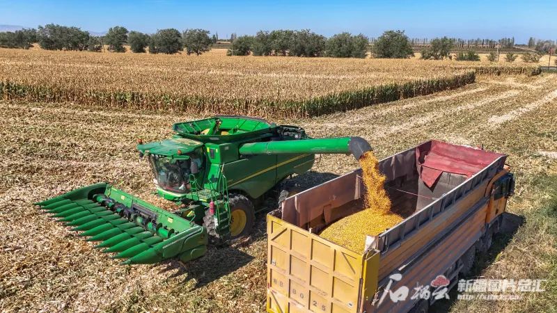 
广州中医药大学一附医院黄牛代挂号电话票贩子号贩子网上预约挂号,住院检查加快,再这样下去，新疆就成“鱼米之乡”了！