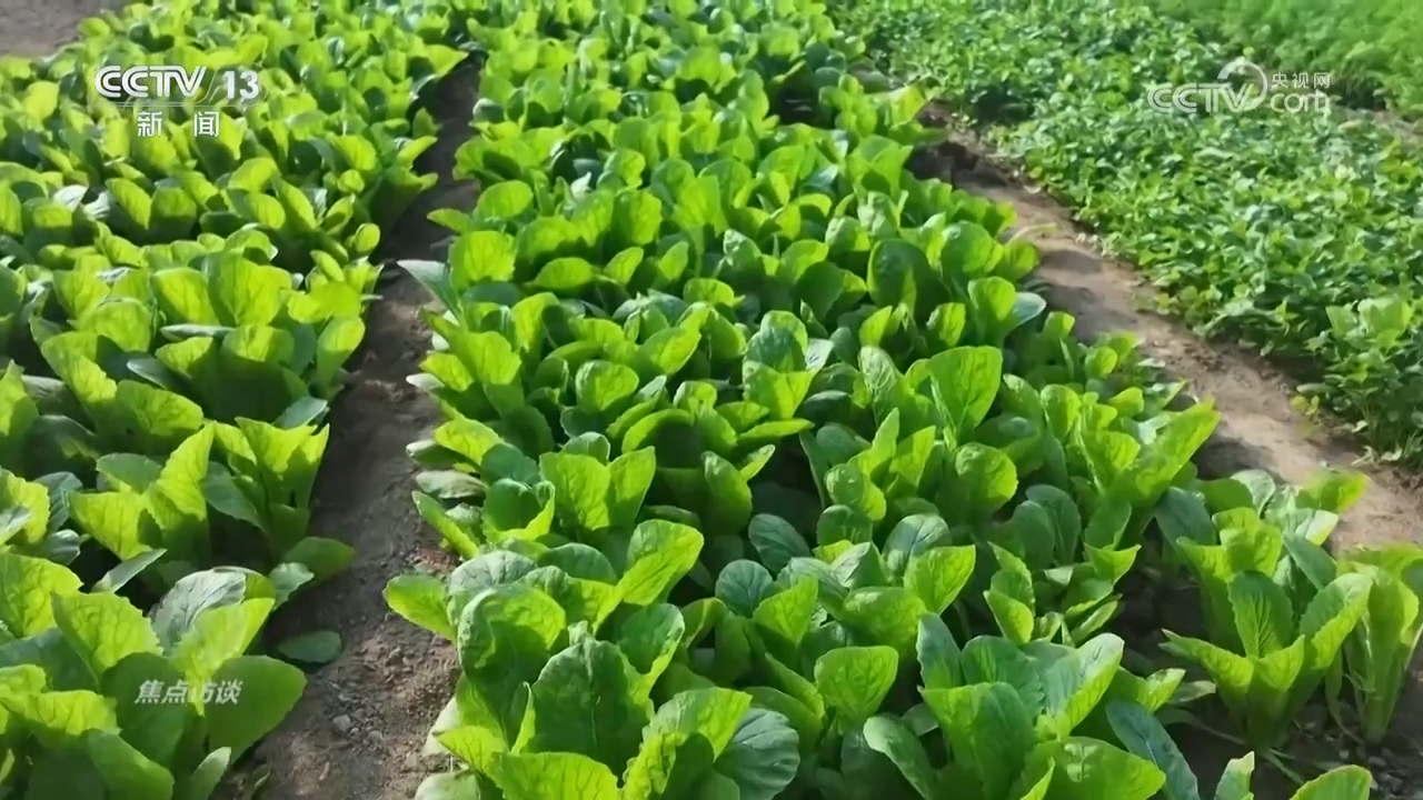 
东直门医院黄牛代挂号电话票贩子号贩子网上预约挂号,住院检查加快,总书记的足迹 | 让人民生活幸福是“国之大者”