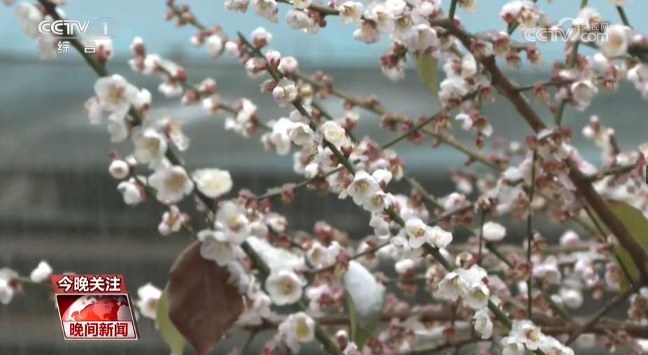 
首都医科大学附属天坛医院黄牛代挂号电话票贩子号贩子网上预约挂号,住院检查加快,非遗年里寻非遗 五湖四海庆新春