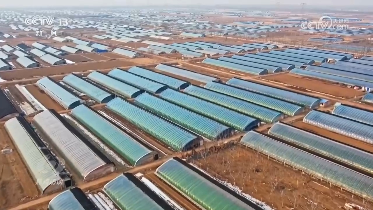 
东直门医院黄牛代挂号电话票贩子号贩子网上预约挂号,住院检查加快,总书记的足迹 | 让人民生活幸福是“国之大者”