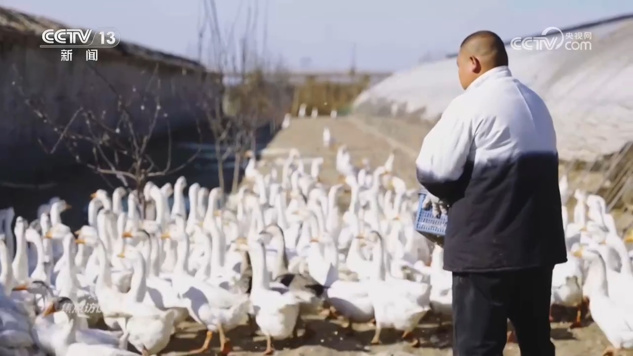 
东直门医院黄牛代挂号电话票贩子号贩子网上预约挂号,住院检查加快,总书记的足迹 | 让人民生活幸福是“国之大者”