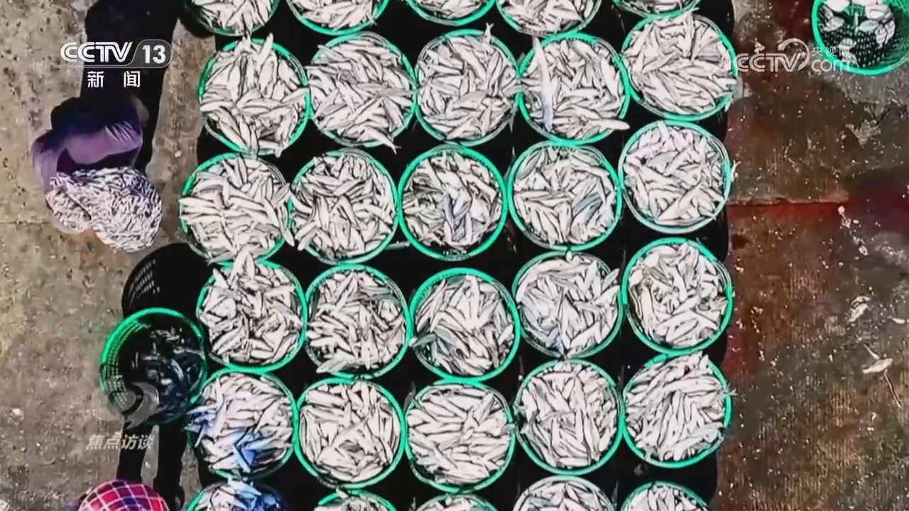 
北京妇产医院黄牛代挂号电话票贩子号贩子网上预约挂号,住院检查加快,总书记的足迹 | 这个渔村，蕴藏着中国乡村振兴密码