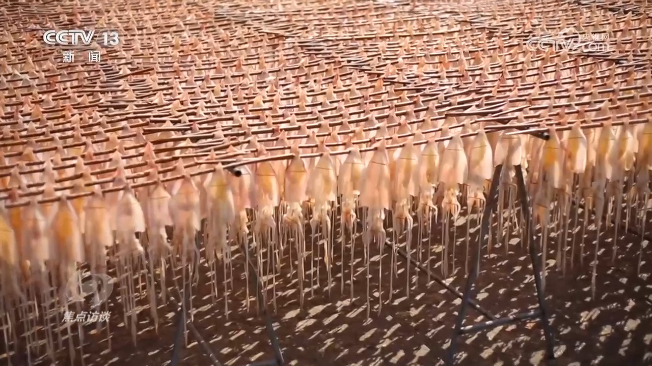 
北京妇产医院黄牛代挂号电话票贩子号贩子网上预约挂号,住院检查加快,总书记的足迹 | 这个渔村，蕴藏着中国乡村振兴密码