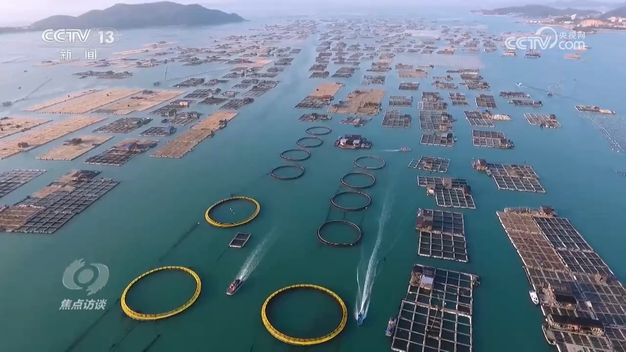 
北京妇产医院黄牛代挂号电话票贩子号贩子网上预约挂号,住院检查加快,总书记的足迹 | 这个渔村，蕴藏着中国乡村振兴密码