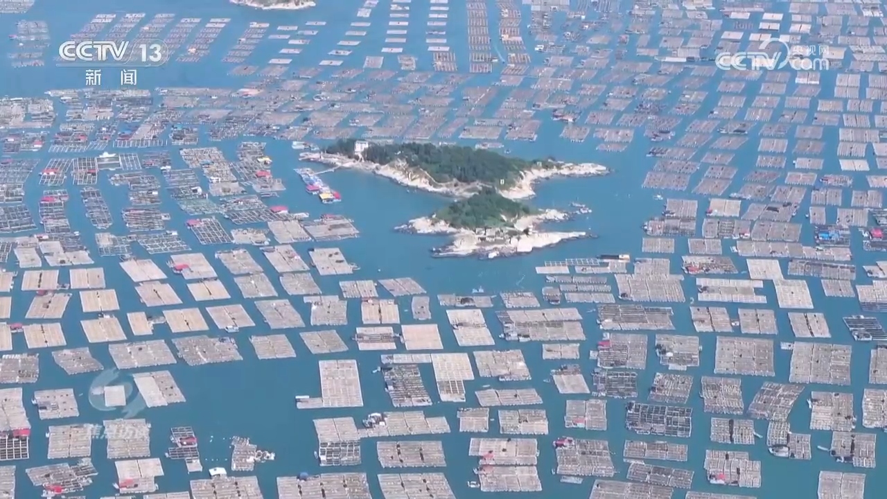 
北京妇产医院黄牛代挂号电话票贩子号贩子网上预约挂号,住院检查加快,总书记的足迹 | 这个渔村，蕴藏着中国乡村振兴密码