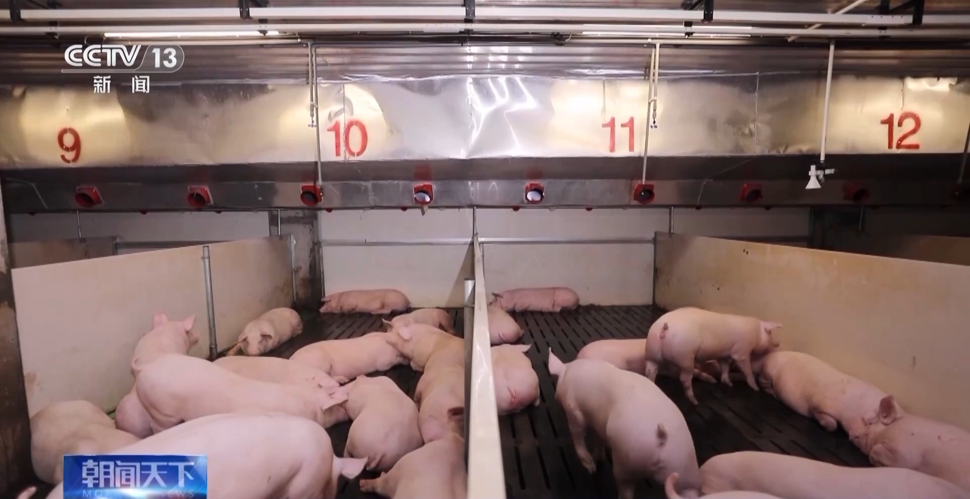 
首都医科大学附属安贞医院黄牛代挂号电话票贩子号贩子网上预约挂号,住院检查加快,高质量发展调研行丨小猪上楼 变废为“宝” 智能养殖助力农业高效发展