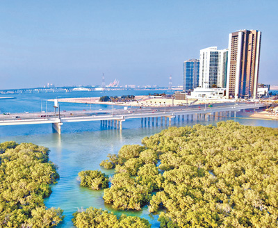 
中国中医科学院广安门医院黄牛代挂号电话票贩子号贩子网上预约挂号,住院检查加快,红树林旁架飞虹