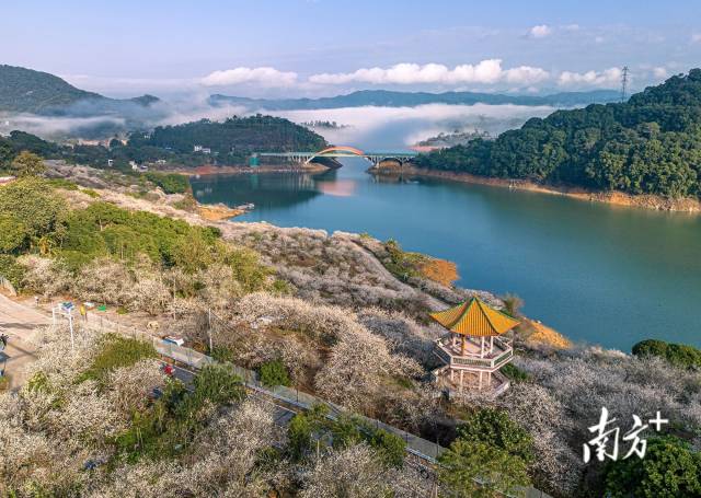 
北京各大医院黄牛代挂号电话票贩子号贩子网上预约挂号,住院检查加快,文化中国行·小寒｜春山可望，静候新岁