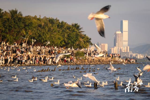 
北京各大医院黄牛代挂号电话票贩子号贩子网上预约挂号,住院检查加快,文化中国行·小寒｜春山可望，静候新岁