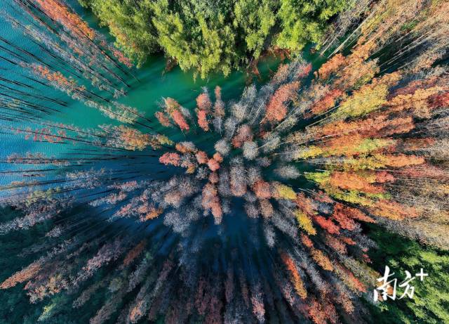 
北京各大医院黄牛代挂号电话票贩子号贩子网上预约挂号,住院检查加快,文化中国行·小寒｜春山可望，静候新岁