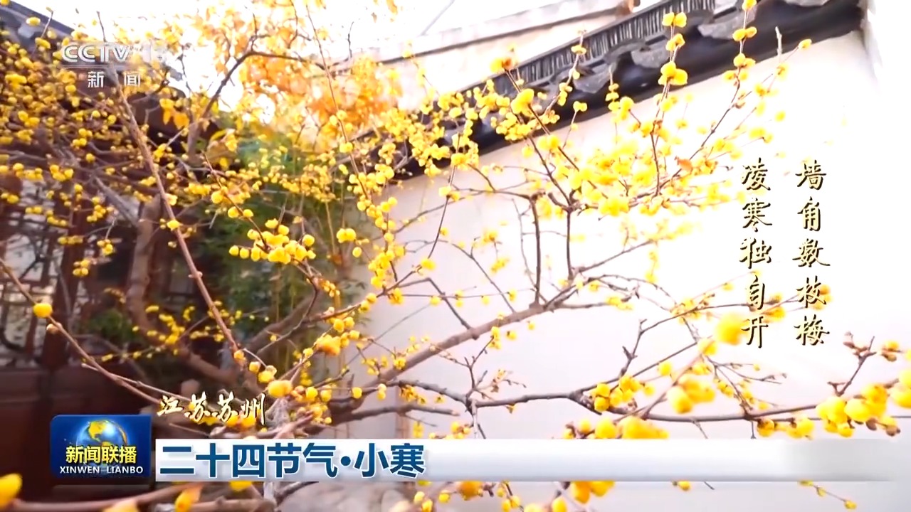 
首都医科大学附属儿童医院黄牛代挂号电话票贩子号贩子网上预约挂号,住院检查加快,文化中国行丨二十四节气·小寒 虽寒犹美的冬日画卷