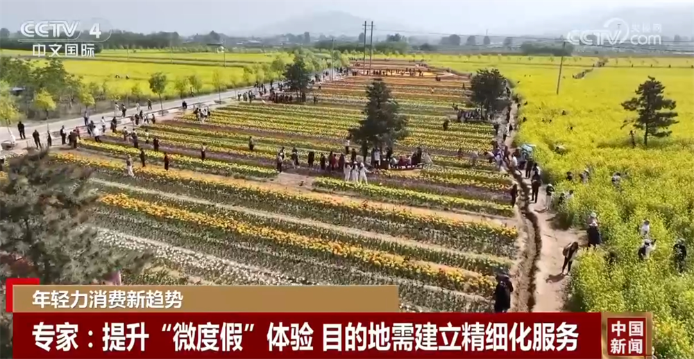 北京301医院黄牛代挂号电话票贩子号贩子网上预约挂号,住院检查加快,一起解锁“微度假”多种打开方式 “City Eat”成为年轻力消费新趋势