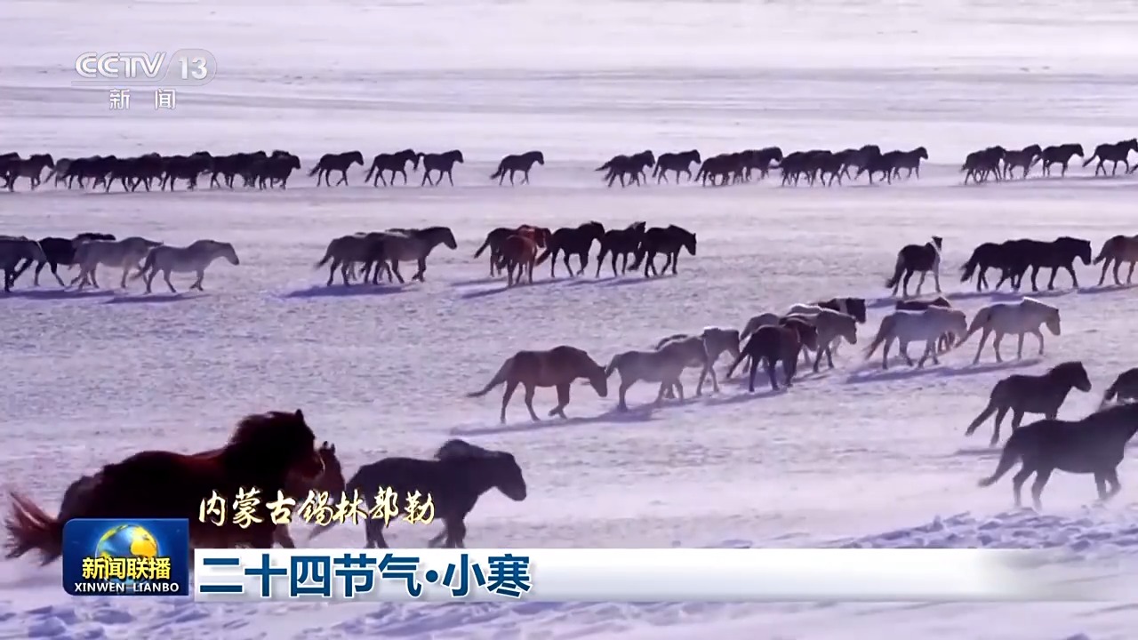 
首都医科大学附属儿童医院黄牛代挂号电话票贩子号贩子网上预约挂号,住院检查加快,文化中国行丨二十四节气·小寒 虽寒犹美的冬日画卷