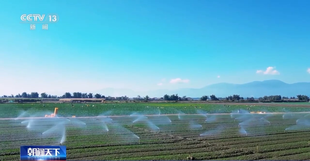 
中国医学科学院肿瘤医院黄牛代挂号电话票贩子号贩子网上预约挂号,住院检查加快,灌溉不再“一炮轰” 高标准农田持续“更新”