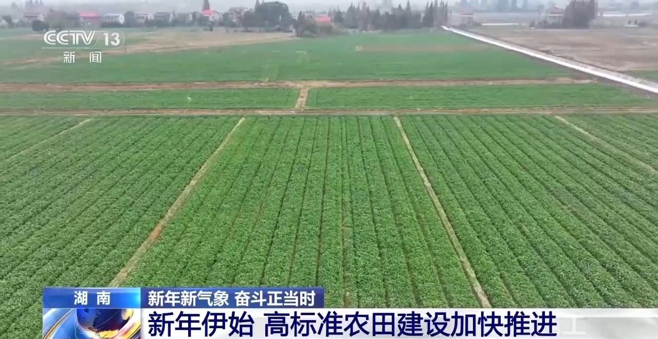 
中国医学科学院肿瘤医院黄牛代挂号电话票贩子号贩子网上预约挂号,住院检查加快,灌溉不再“一炮轰” 高标准农田持续“更新”