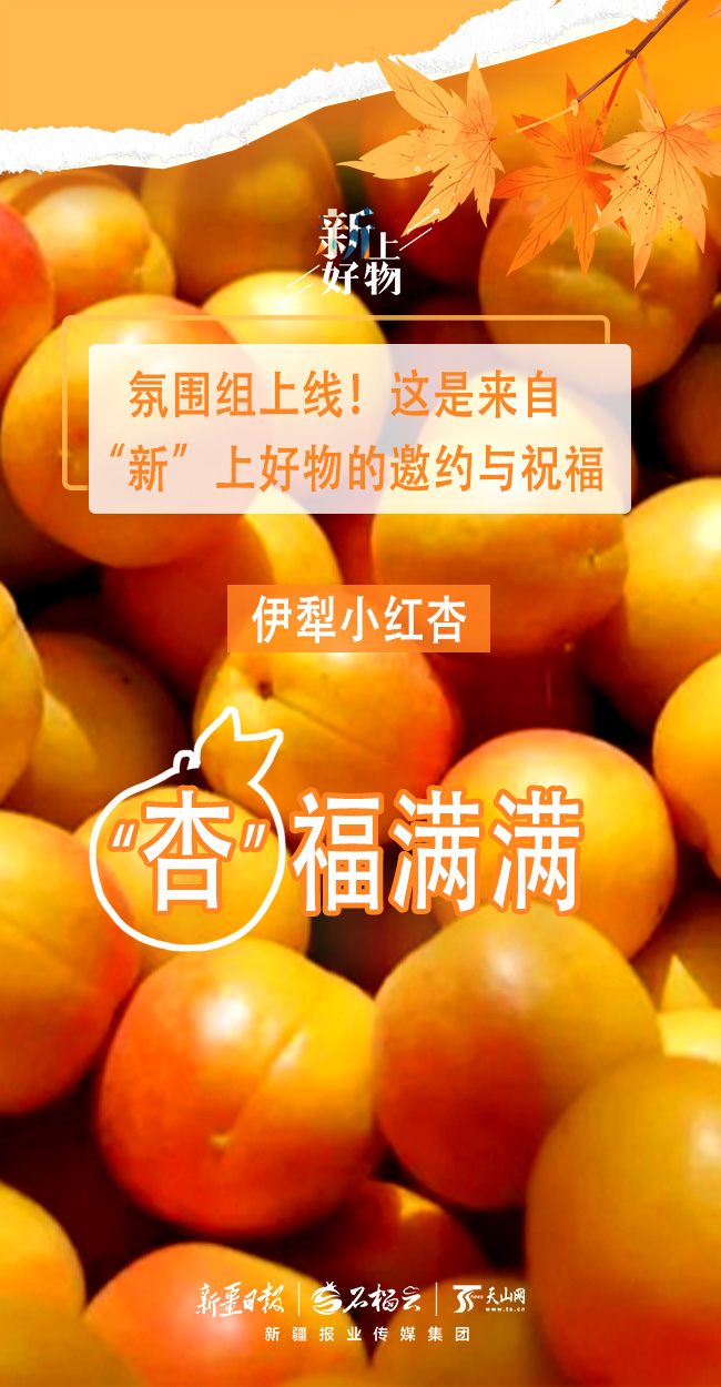 
中山二院黄牛代挂号电话票贩子号贩子网上预约挂号,住院检查加快,氛围组上线！这是来自“新”上好物的邀约与祝福