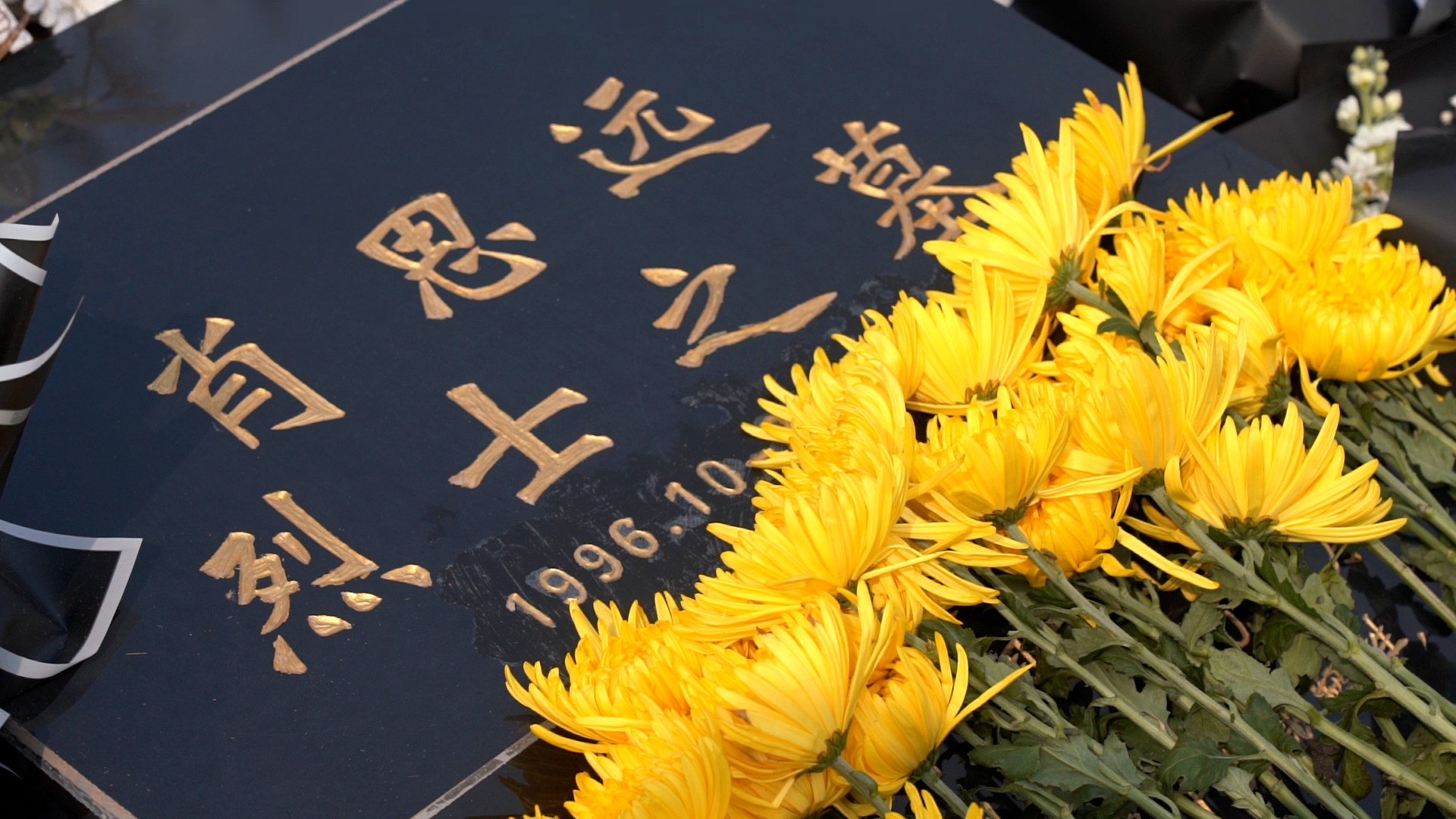 
广东省中医院黄牛代挂号电话票贩子号贩子网上预约挂号,住院检查加快,青春华章 | 长风万里 山河念你