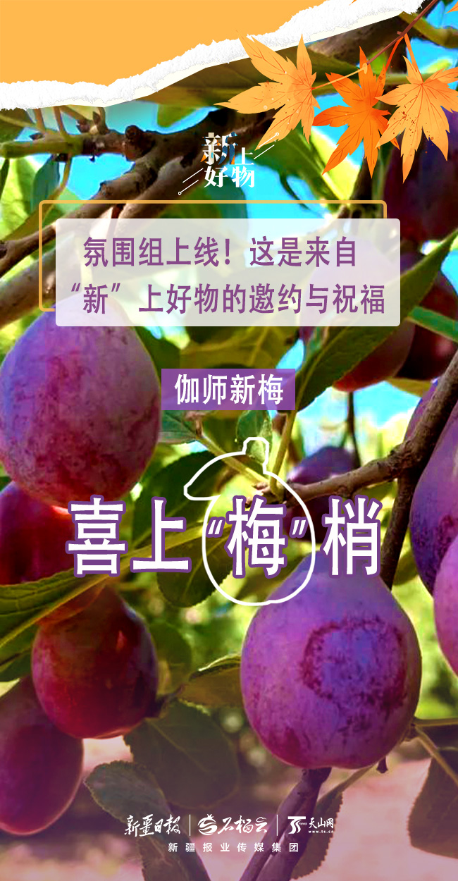 
中山二院黄牛代挂号电话票贩子号贩子网上预约挂号,住院检查加快,氛围组上线！这是来自“新”上好物的邀约与祝福