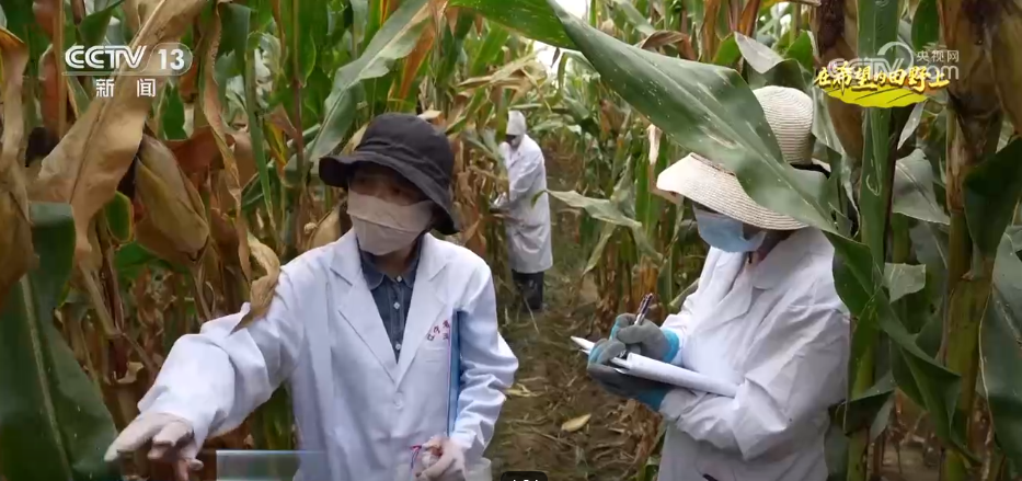 
中日友好医院黄牛代挂号电话票贩子号贩子网上预约挂号,住院检查加快,希望的田野“丰”景如画 绘就产业兴旺的“乡村振兴图”