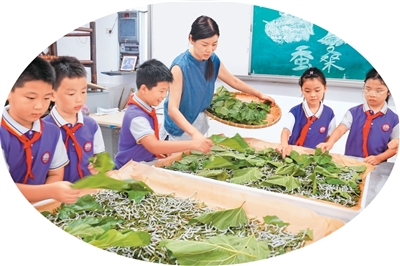 
北京人民医院黄牛代挂号电话票贩子号贩子网上预约挂号,住院检查加快,体验养蚕（侨乡新貌）