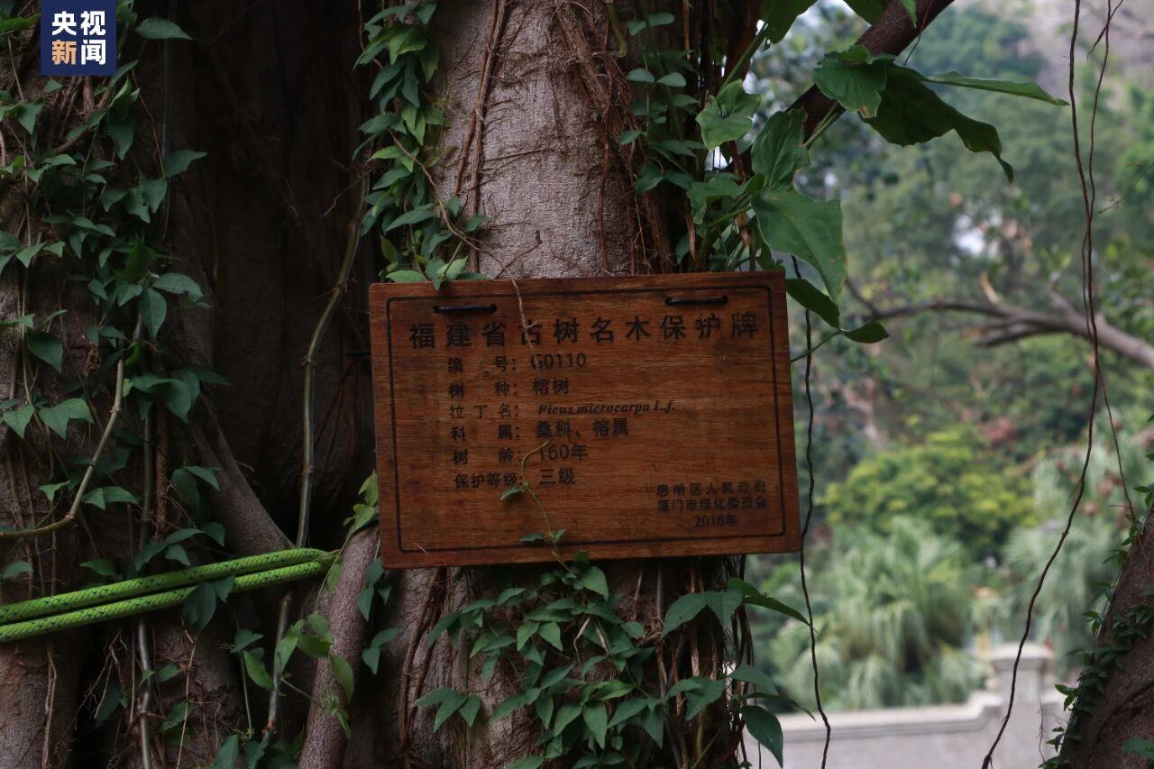 
江苏省中医院黄牛代挂号电话票贩子号贩子网上预约挂号,住院检查加快,青春华章丨“爬树”也能修学分？这所高校的“攀树课”一课难求！