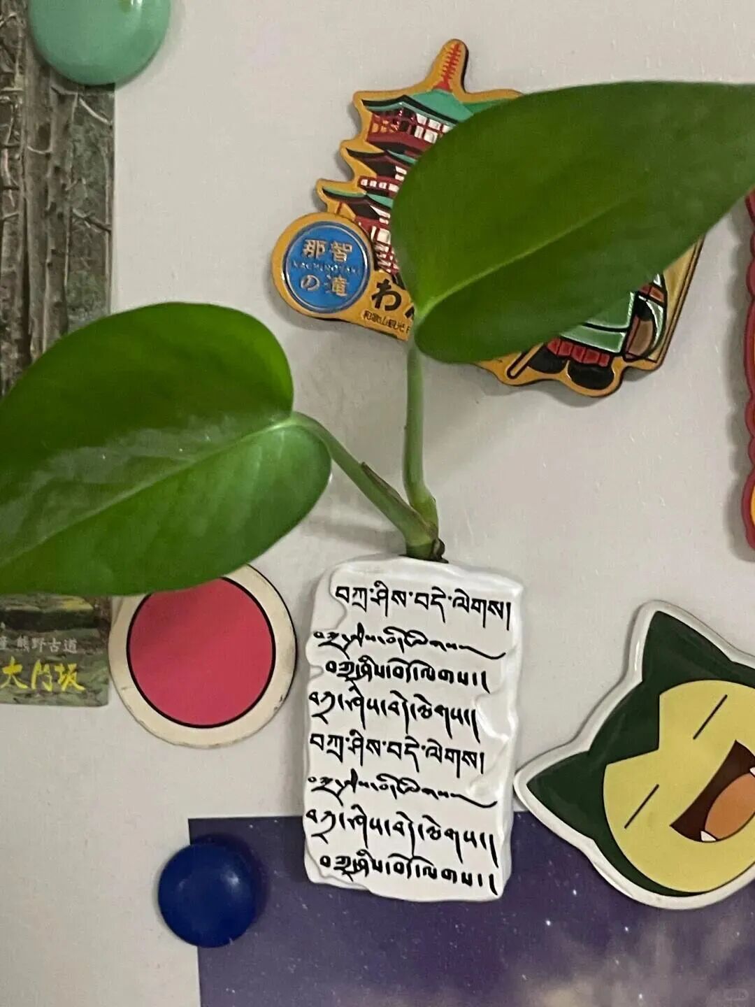 
广州儿童医院黄牛代挂号电话票贩子号贩子网上预约挂号,住院检查加快,非遗搬到冰箱上？太出圈啦