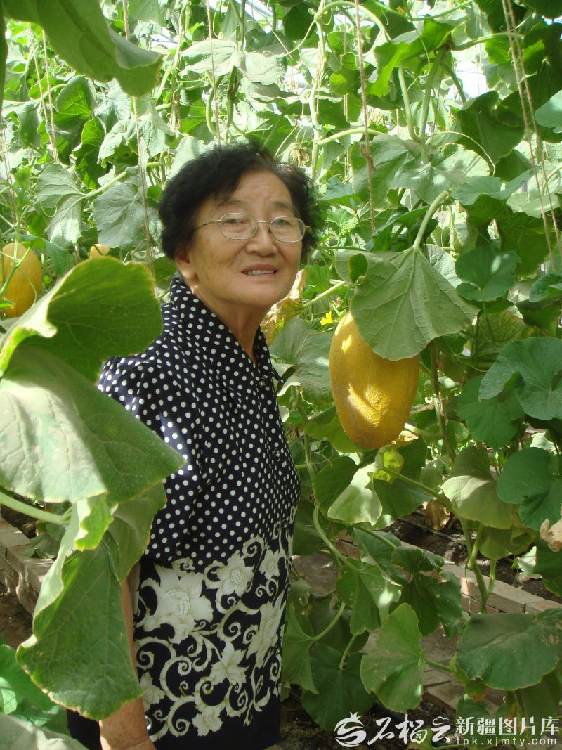 
北京大学第三医院黄牛代挂号电话票贩子号贩子网上预约挂号,住院检查加快,致敬新疆榜样丨吴明珠：把瓜的甘甜献给人民