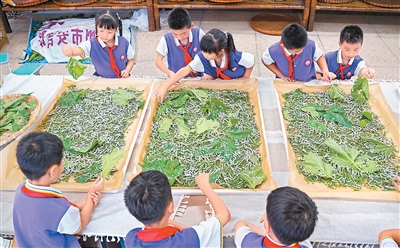
北京人民医院黄牛代挂号电话票贩子号贩子网上预约挂号,住院检查加快,体验养蚕（侨乡新貌）