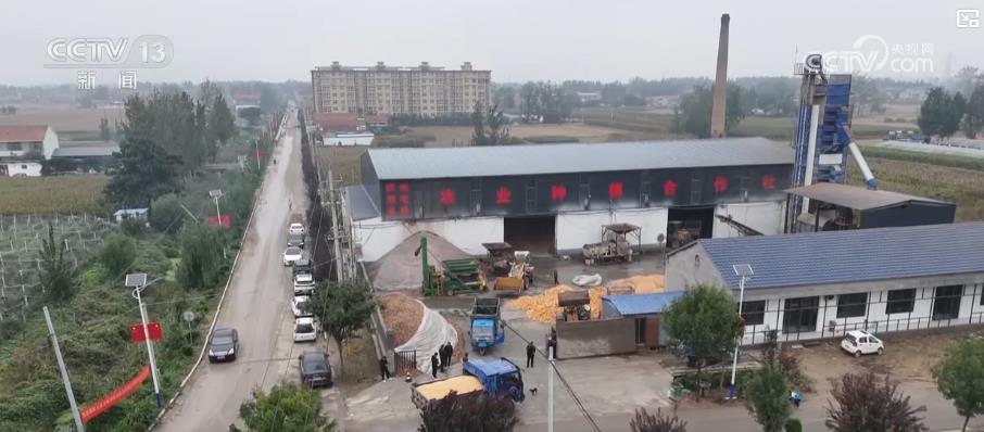 
上海肿瘤医院黄牛代挂号电话票贩子号贩子网上预约挂号,住院检查加快,各地多举措战阴雨抢秋收：“粮食银行”护粮减损 烘干链闭环助农“收好粮卖好价”