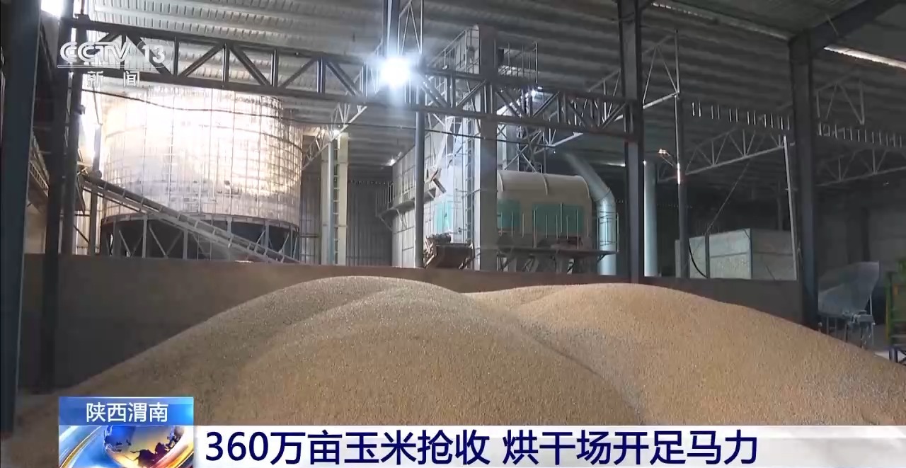 
广东省人民医院黄牛代挂号电话票贩子号贩子网上预约挂号,住院检查加快,玉米秋收遇上阴雨天气 多地烘干厂开足马力