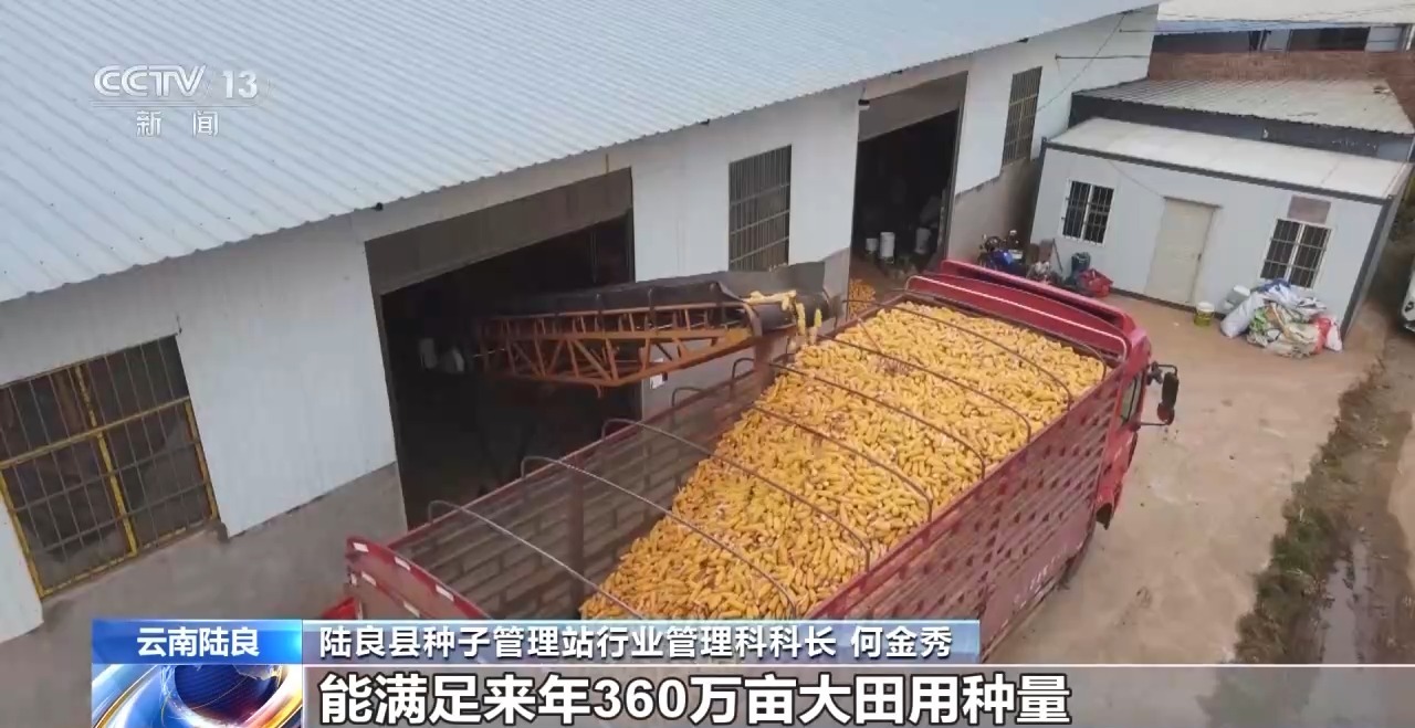 
北京302医院黄牛代挂号电话票贩子号贩子网上预约挂号,住院检查加快,秋收时节秋雨绵绵 各地抢收抢烘确保秋粮颗粒归仓
