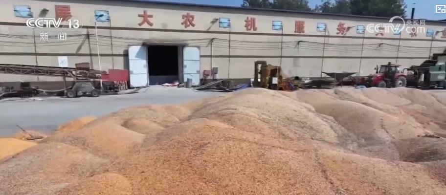 
上海肿瘤医院黄牛代挂号电话票贩子号贩子网上预约挂号,住院检查加快,各地多举措战阴雨抢秋收：“粮食银行”护粮减损 烘干链闭环助农“收好粮卖好价”