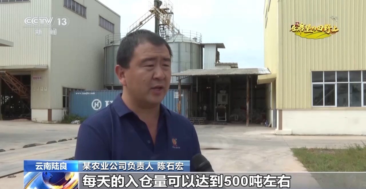 
北京302医院黄牛代挂号电话票贩子号贩子网上预约挂号,住院检查加快,秋收时节秋雨绵绵 各地抢收抢烘确保秋粮颗粒归仓