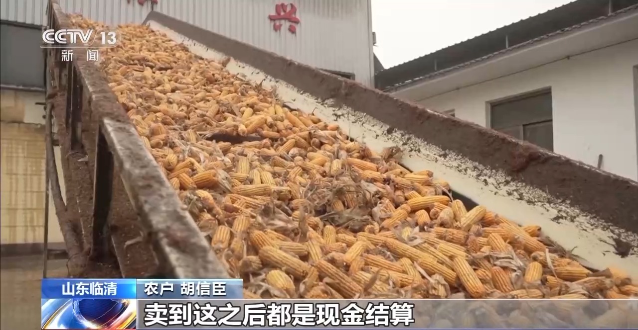 
广东省人民医院黄牛代挂号电话票贩子号贩子网上预约挂号,住院检查加快,玉米秋收遇上阴雨天气 多地烘干厂开足马力