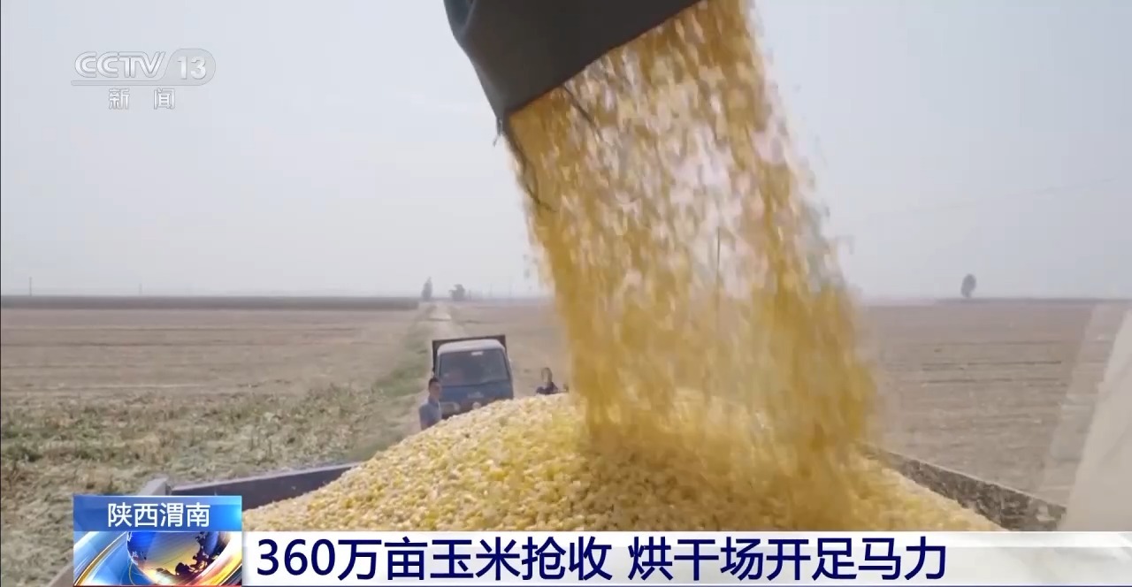 
广东省人民医院黄牛代挂号电话票贩子号贩子网上预约挂号,住院检查加快,玉米秋收遇上阴雨天气 多地烘干厂开足马力
