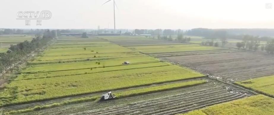 
上海肿瘤医院黄牛代挂号电话票贩子号贩子网上预约挂号,住院检查加快,各地多举措战阴雨抢秋收：“粮食银行”护粮减损 烘干链闭环助农“收好粮卖好价”