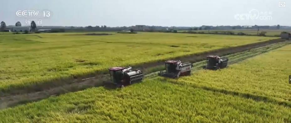 
中国中医科学院望京医院黄牛代挂号电话票贩子号贩子网上预约挂号,住院检查加快,全国秋粮收获过五成！全程机械化护航秋收 粮食生产提质增效