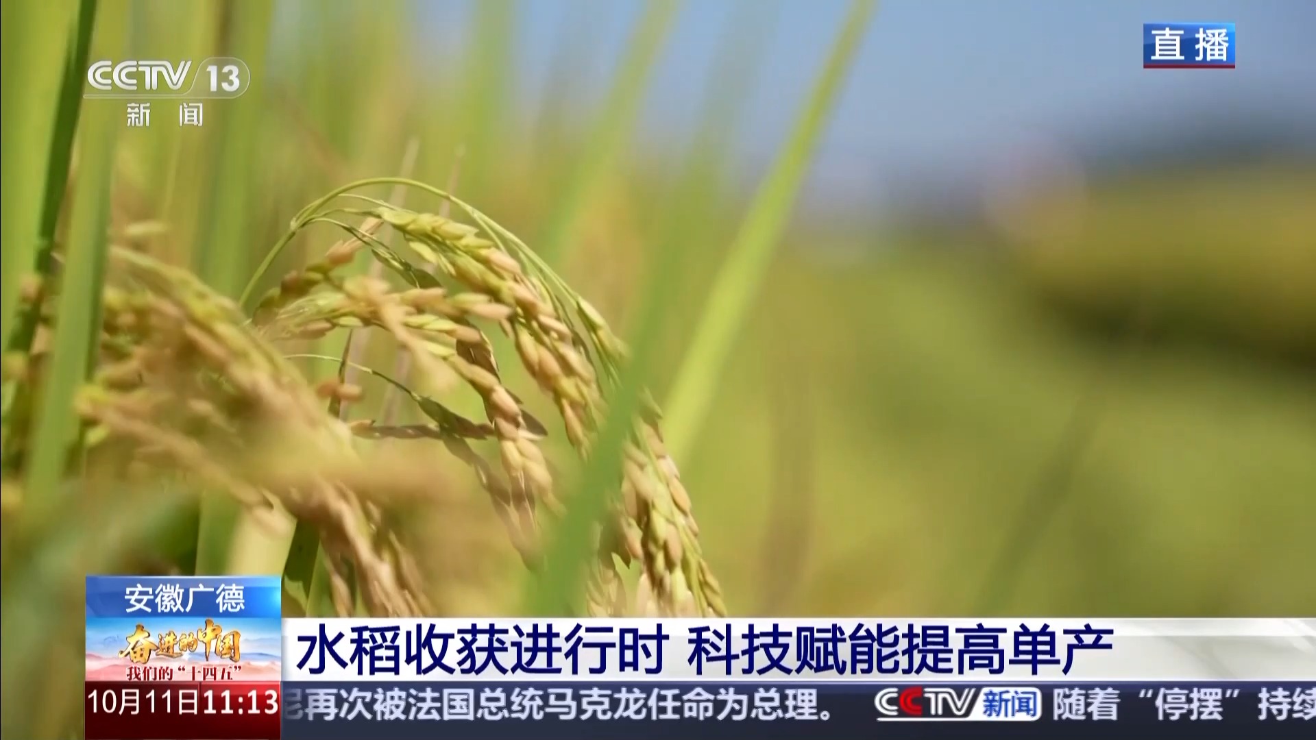 
首都医科大学附属天坛医院黄牛代挂号电话票贩子号贩子网上预约挂号,住院检查加快,科技赋能单产提升 记者探访“大国粮仓”第一线