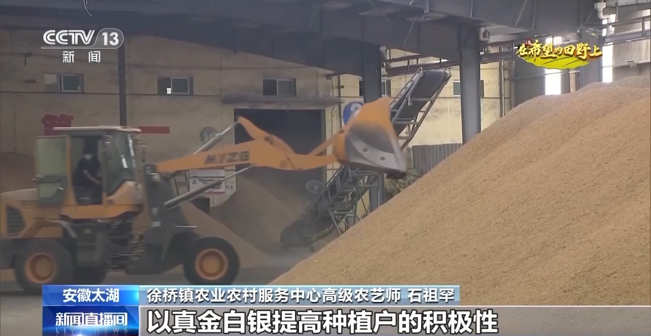 
北京302医院黄牛代挂号电话票贩子号贩子网上预约挂号,住院检查加快,秋收时节秋雨绵绵 各地抢收抢烘确保秋粮颗粒归仓