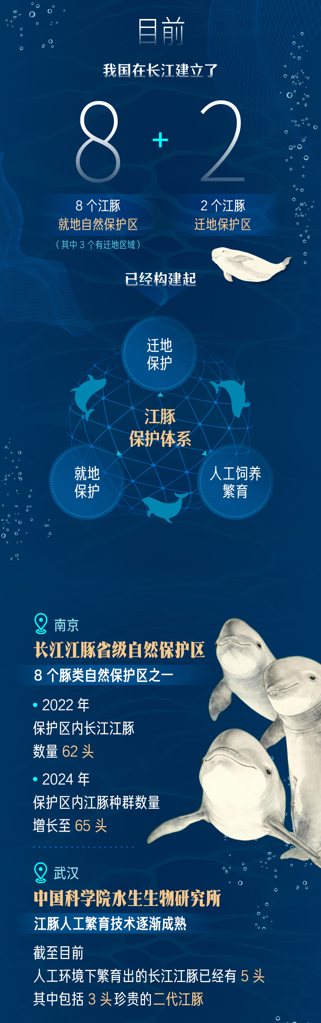 
中国中医科学院西苑黄牛代挂号电话票贩子号贩子网上预约挂号,住院检查加快,青春华章丨邂逅游弋的“长江的微笑”