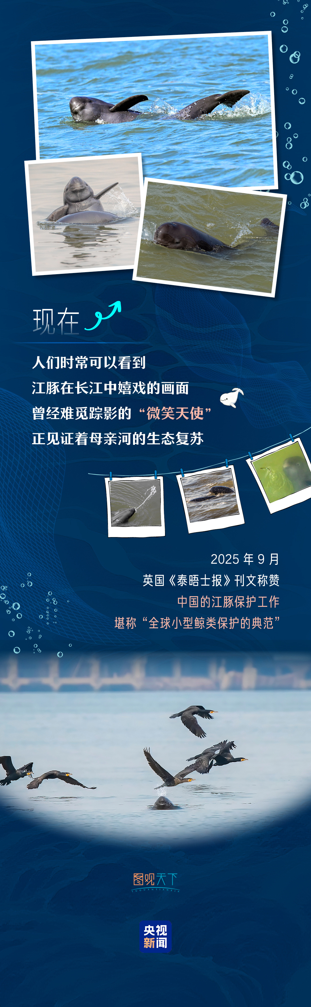 
中国中医科学院西苑黄牛代挂号电话票贩子号贩子网上预约挂号,住院检查加快,青春华章丨邂逅游弋的“长江的微笑”
