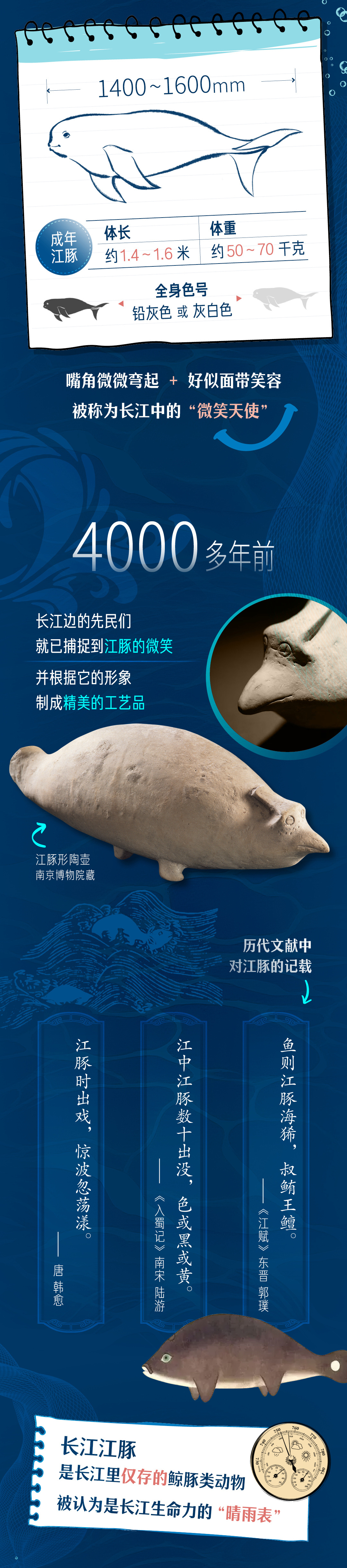 
中国中医科学院西苑黄牛代挂号电话票贩子号贩子网上预约挂号,住院检查加快,青春华章丨邂逅游弋的“长江的微笑”